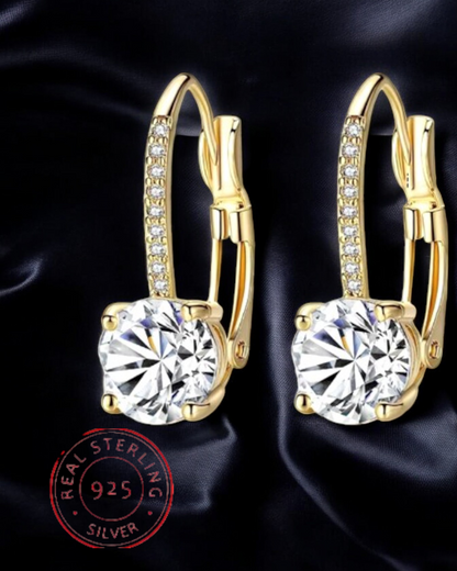 Trendy 14K Gold Plated Earrings